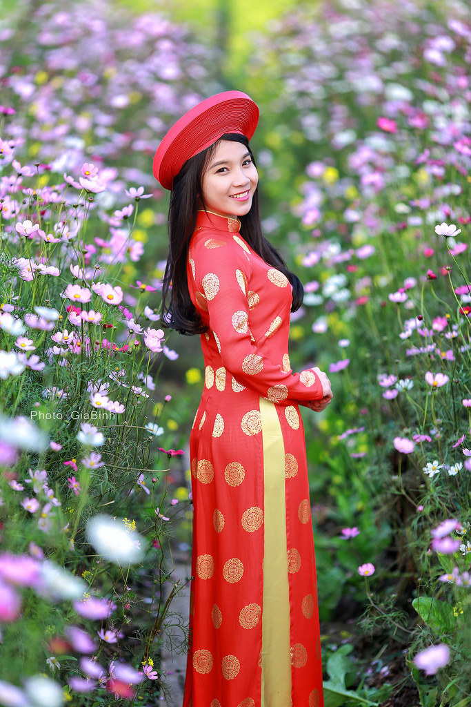 完美婚姻